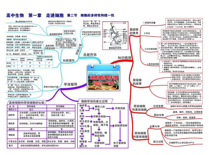 高中生物-思维导图_《高中思维导图》