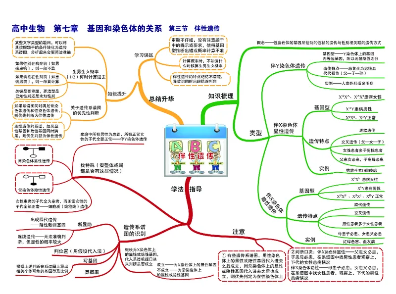 高中生物-思维导图_《高中思维导图》