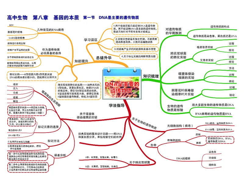 高中生物-思维导图_《高中思维导图》