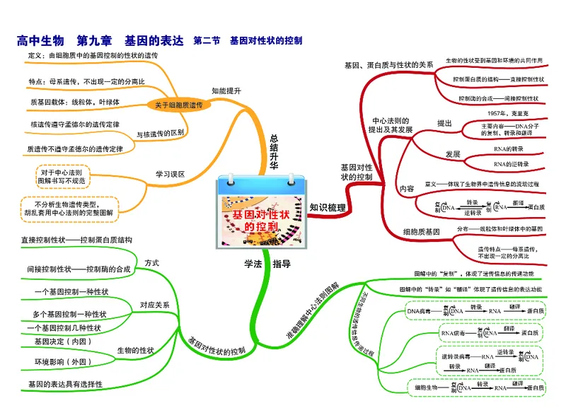 高中生物-思维导图_《高中思维导图》
