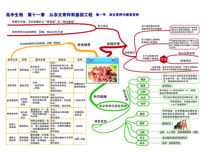 高中生物-思维导图_《高中思维导图》