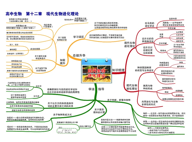 高中生物-思维导图_《高中思维导图》