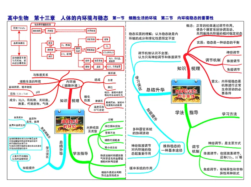 高中生物-思维导图_《高中思维导图》