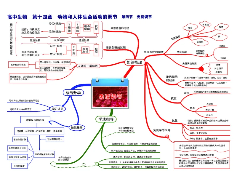 高中生物-思维导图_《高中思维导图》