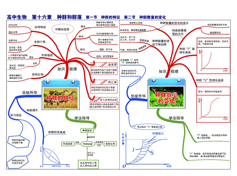 高中生物-思维导图_《高中思维导图》