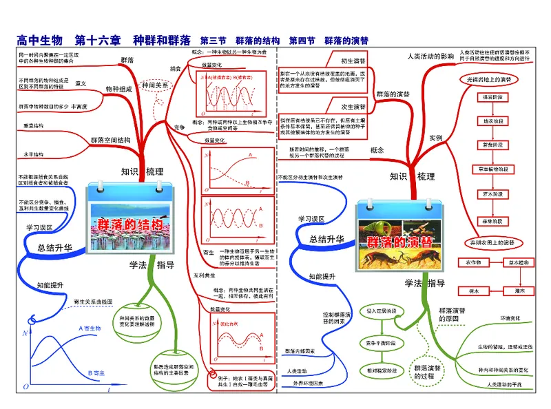 高中生物-思维导图_《高中思维导图》