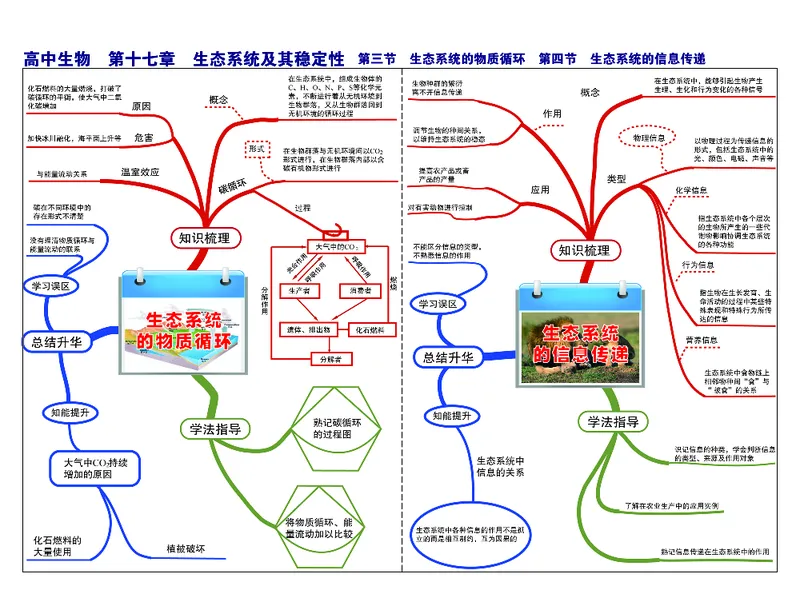 高中生物-思维导图_《高中思维导图》