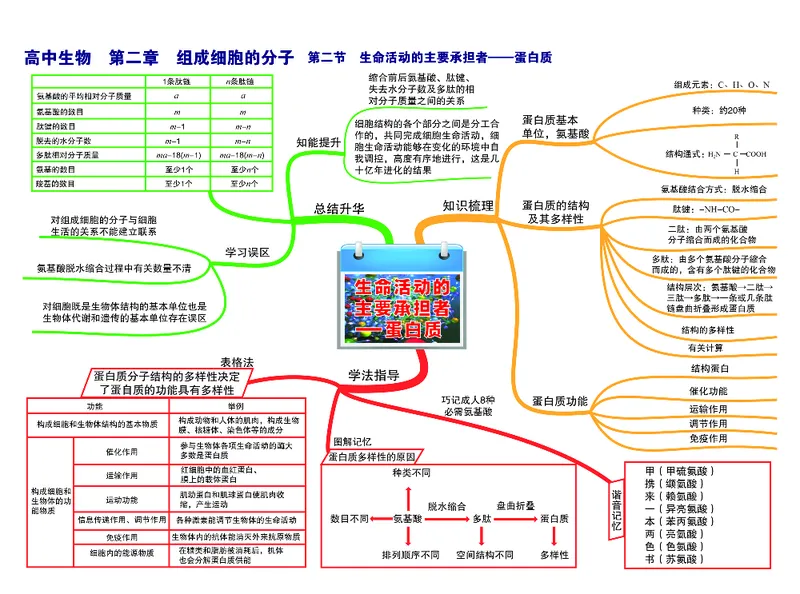 高中生物-思维导图_《高中思维导图》
