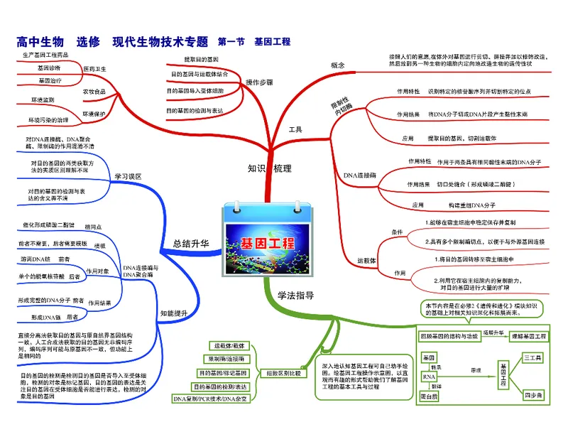 高中生物-思维导图_《高中思维导图》