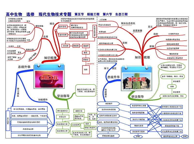 高中生物-思维导图_《高中思维导图》