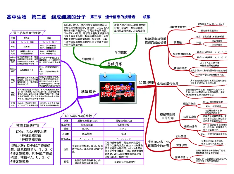 高中生物-思维导图_《高中思维导图》
