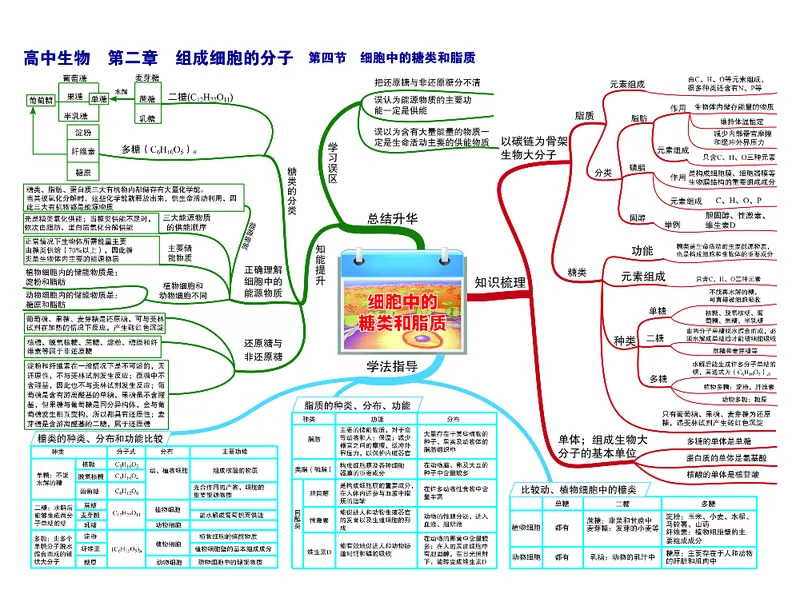 高中生物-思维导图_《高中思维导图》