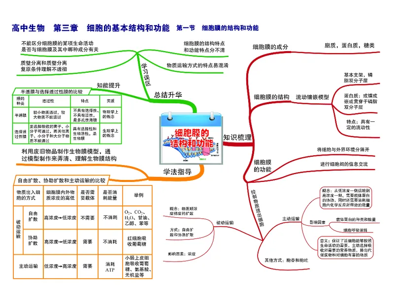 高中生物-思维导图_《高中思维导图》
