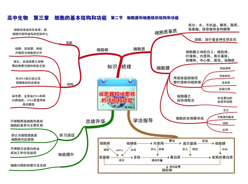 高中生物-思维导图_《高中思维导图》