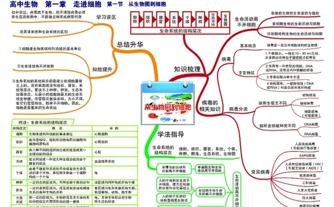 高中生物-思维导图_《高中思维导图》