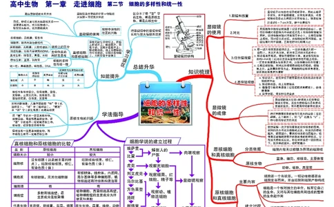 高中生物-思维导图_《高中思维导图》
