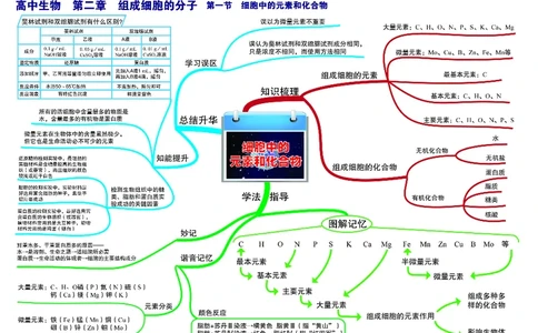高中生物-思维导图_《高中思维导图》