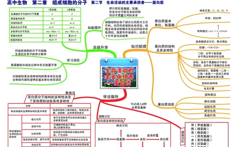 高中生物-思维导图_《高中思维导图》