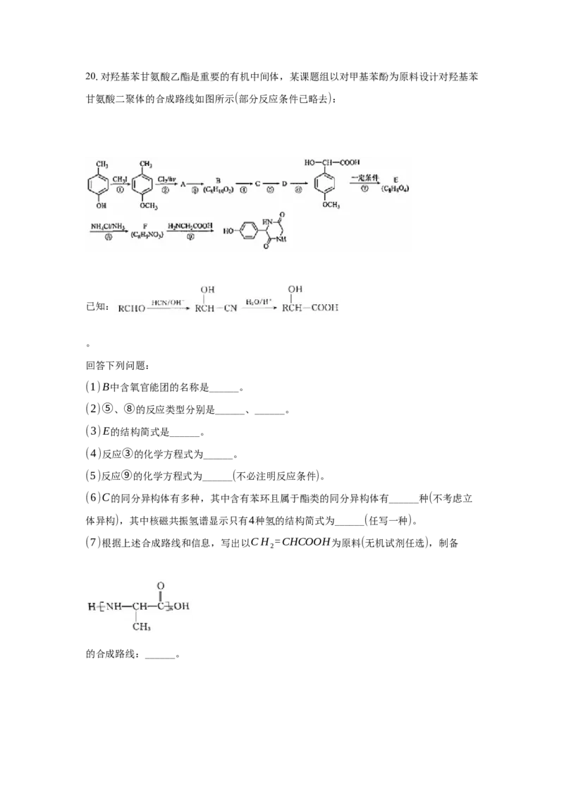 3.4.3胺、苯胺（分层作业）（解析版）_高化_595801221724高中化学新人教版选择性必修一二三电子版教案PPT课件高中试卷_选择性必修3册（人教版）_分层作业