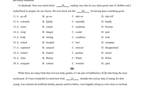 2025年四川省广元市中考英语真题（原卷版）_仁爱版英语九年级下册资料包_全国各地中考真题_2025年全国中考英语真题76份_2025年四川省广元市中考英语真题