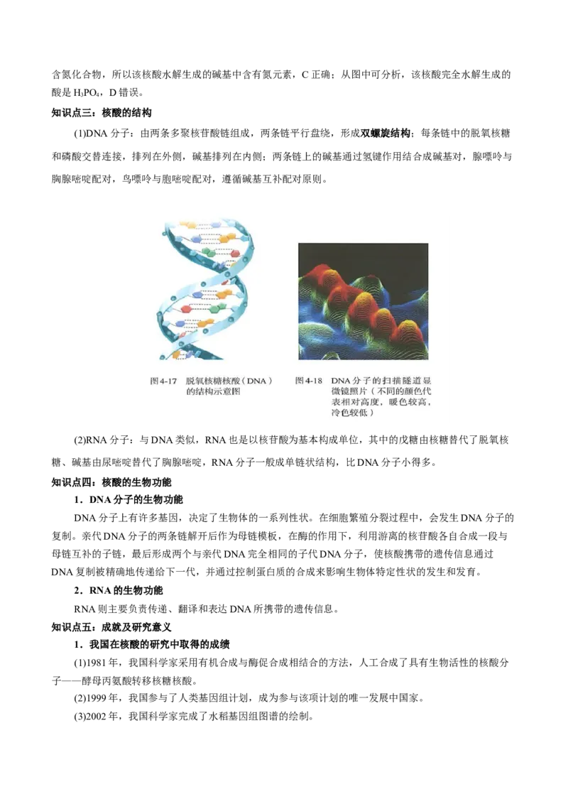 4.3核酸（原卷版）-人教版2019选择性必修3）_高化_595801221724高中化学新人教版选择性必修一二三电子版教案PPT课件高中试卷_选择性必修3册（人教版）_讲义