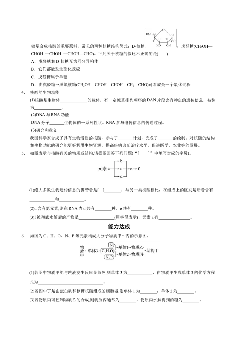 4.3核酸（原卷版）-人教版2019选择性必修3）_高化_595801221724高中化学新人教版选择性必修一二三电子版教案PPT课件高中试卷_选择性必修3册（人教版）_讲义