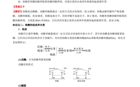 4.3核酸（原卷版）-人教版2019选择性必修3）_高化_595801221724高中化学新人教版选择性必修一二三电子版教案PPT课件高中试卷_选择性必修3册（人教版）_讲义