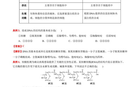 4.3核酸（原卷版）-人教版2019选择性必修3）_高化_595801221724高中化学新人教版选择性必修一二三电子版教案PPT课件高中试卷_选择性必修3册（人教版）_讲义