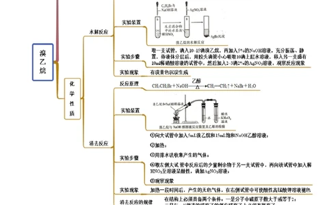 3.1卤代烃（精讲）（人教版2019选择性必修3）（原卷版）_高化_595801221724高中化学新人教版选择性必修一二三电子版教案PPT课件高中试卷_选择性必修3册（人教版）_专项练习
