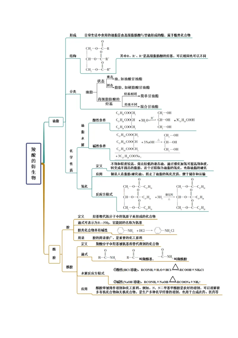 3.4羧酸羧酸的衍生物（精讲）（人教版2019选择性必修3）（解析版）_高化_595801221724高中化学新人教版选择性必修一二三电子版教案PPT课件高中试卷_选择性必修3册（人教版）_专项练习
