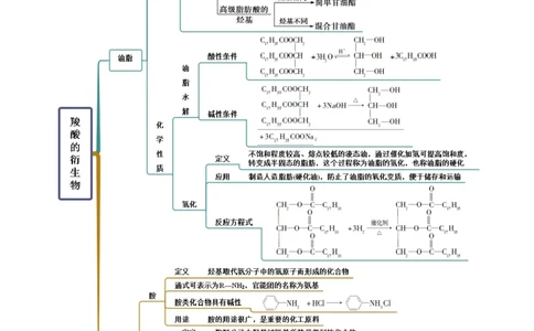 3.4羧酸羧酸的衍生物（精讲）（人教版2019选择性必修3）（解析版）_高化_595801221724高中化学新人教版选择性必修一二三电子版教案PPT课件高中试卷_选择性必修3册（人教版）_专项练习
