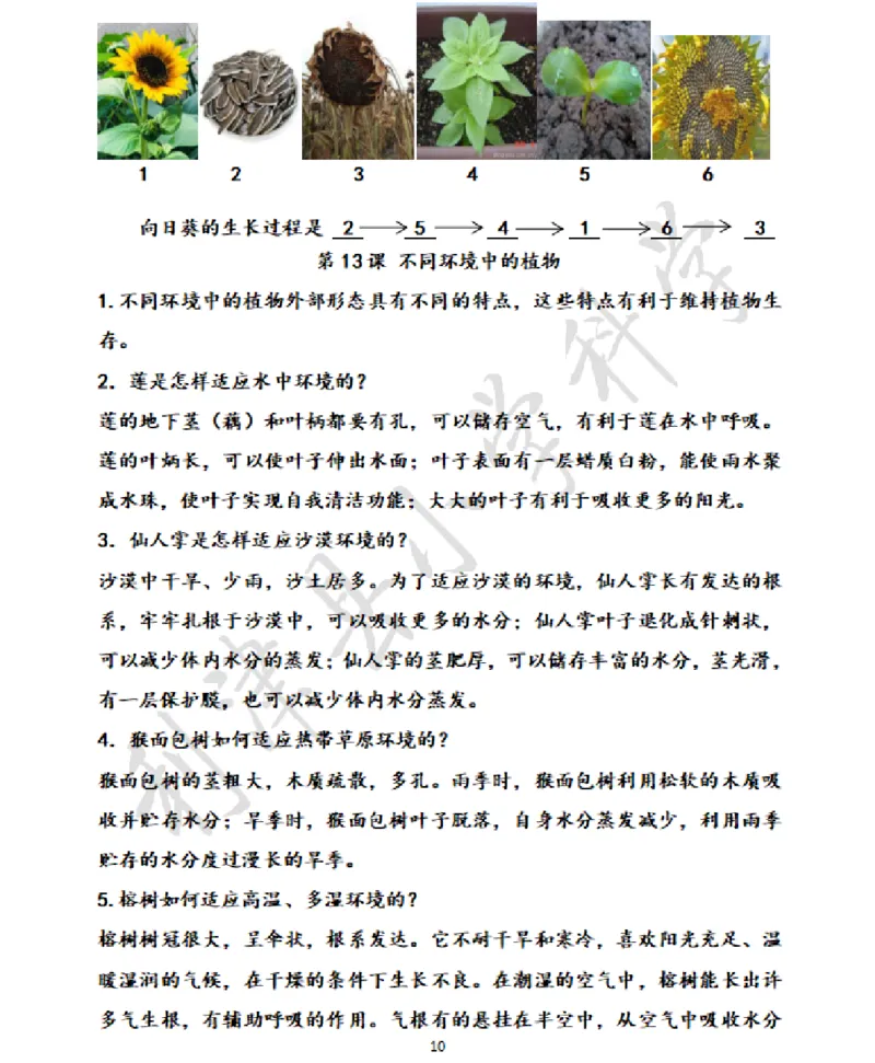 青岛版小学科学六三制四年级下册知识点汇总_《小学各科知识点》_小学科学《知识梳理》1-6年级上下册_青岛版（六三制）3-6年级上下册知识梳理_下册