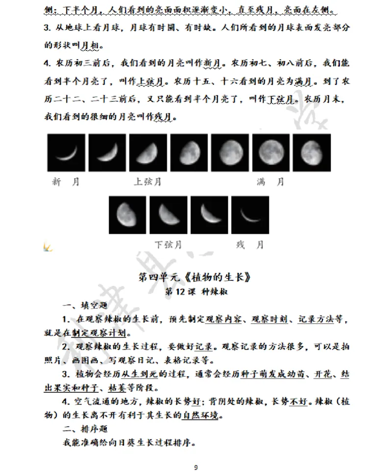 青岛版小学科学六三制四年级下册知识点汇总_《小学各科知识点》_小学科学《知识梳理》1-6年级上下册_青岛版（六三制）3-6年级上下册知识梳理_下册