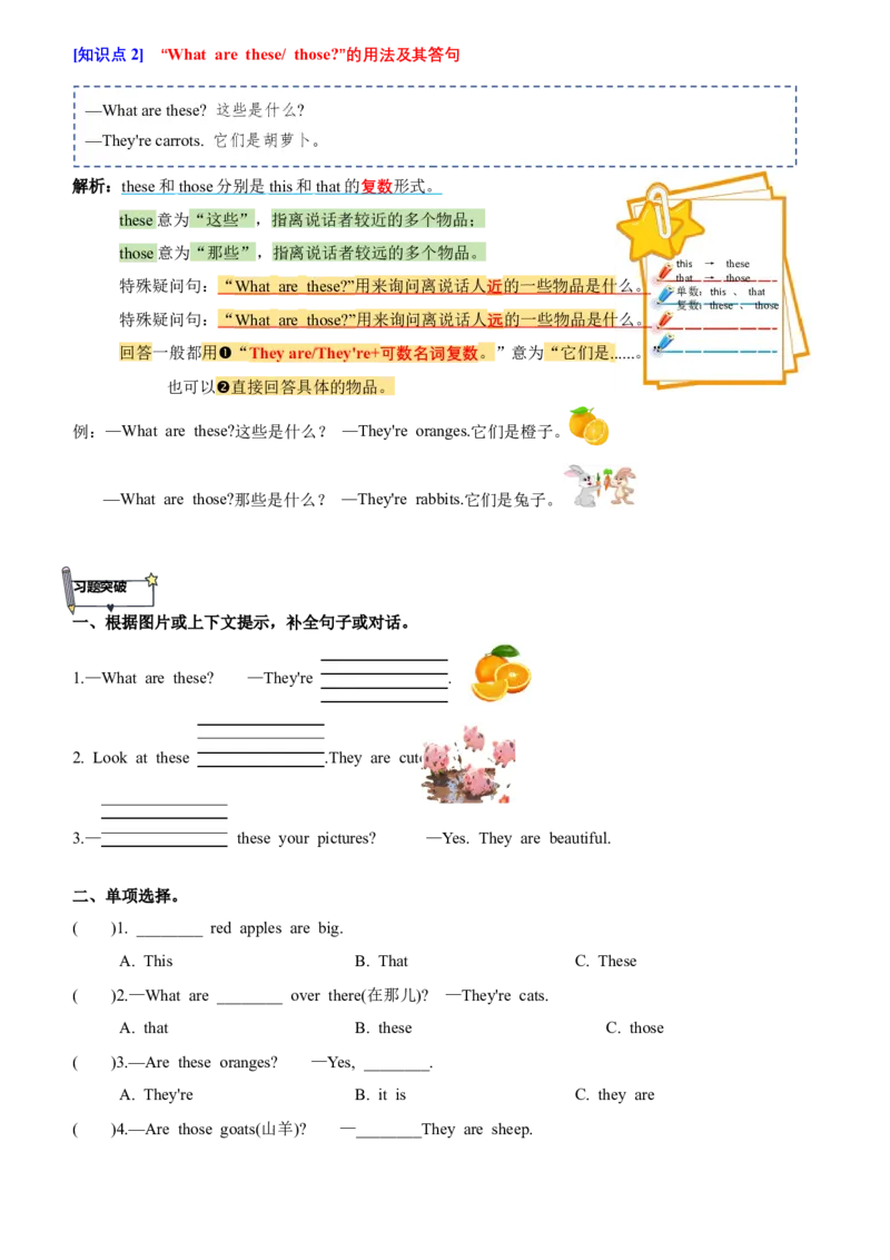 Unit6知识点梳理（讲义）（空白版）_三下译林版2026英语_讲义专项