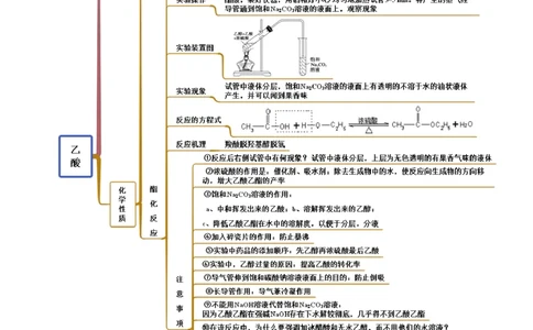 3.4羧酸羧酸的衍生物（精讲）（人教版2019选择性必修3）（原卷版）_高化_595801221724高中化学新人教版选择性必修一二三电子版教案PPT课件高中试卷_选择性必修3册（人教版）_专项练习