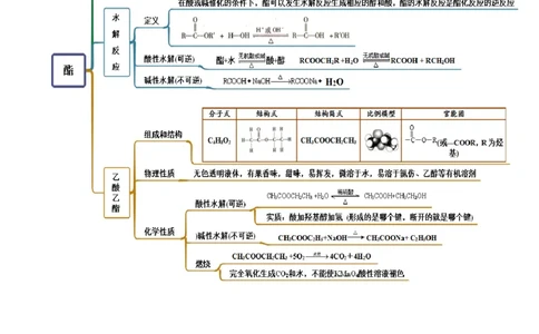 3.4羧酸羧酸的衍生物（精讲）（人教版2019选择性必修3）（原卷版）_高化_595801221724高中化学新人教版选择性必修一二三电子版教案PPT课件高中试卷_选择性必修3册（人教版）_专项练习