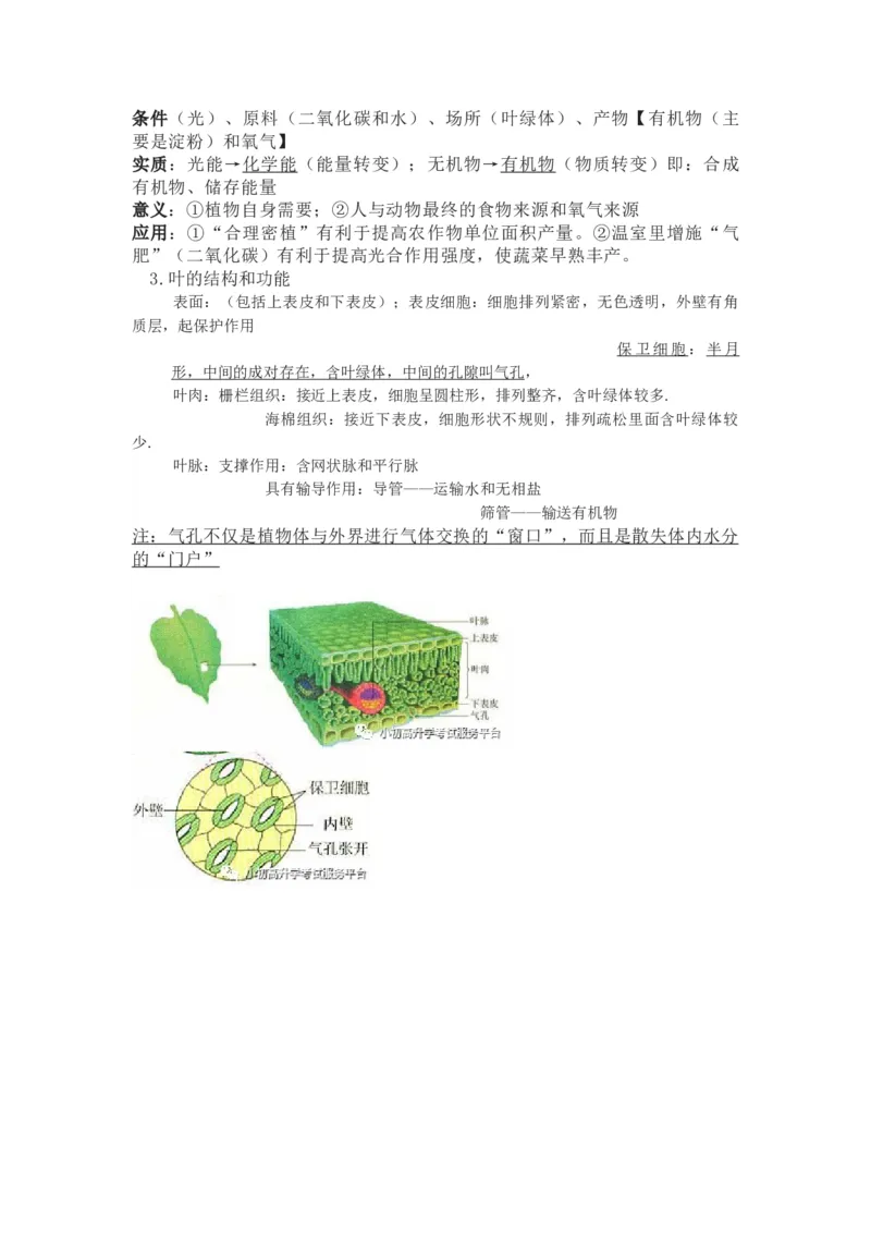 苏科教版初中生物七上知识点_24秋《初中各科知识点梳理》_初中生物《知识梳理》7-8年级上下册_苏科版初中生物7-8年级上下册知识点