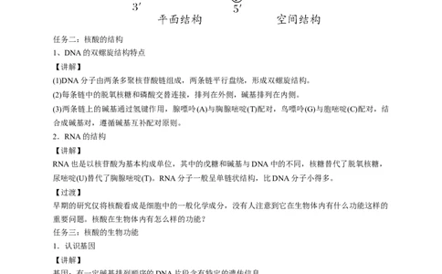 4.3核酸-教学设计-2020-2021学年下学期高二化学同步精品课堂(新教材人教版选择性必修3）_高化_2025春-人教版高中化学_05新版高中化学选择性必修3_1.课件+教案+学案+习题_教案