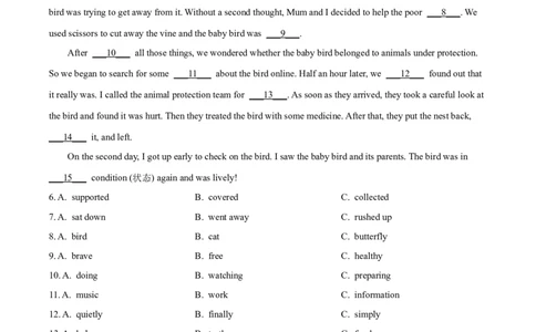2025年广西中考英语真题（解析版）_仁爱版英语九年级下册资料包_全国各地中考真题_2025年全国中考英语真题76份_2025年广西中考英语真题