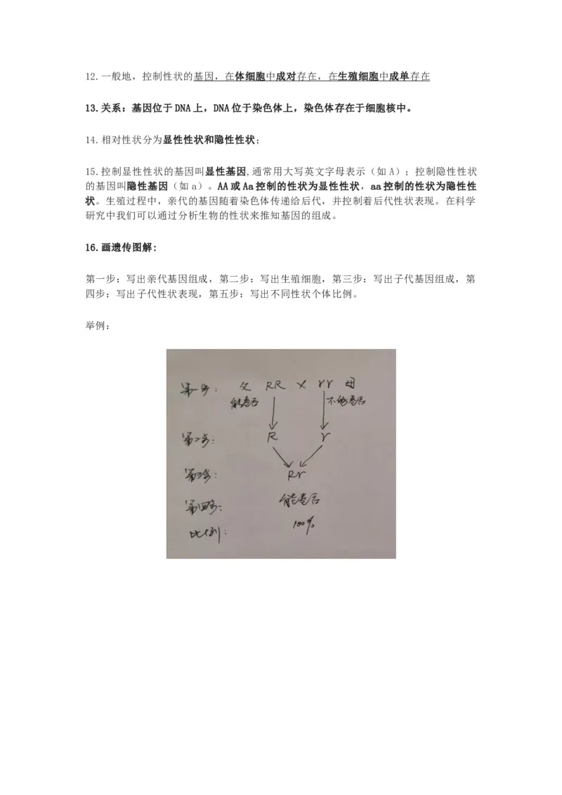 苏科版八年级生物下册知识点_24秋《初中各科知识点梳理》_初中生物《知识梳理》7-8年级上下册_苏科版初中生物7-8年级上下册知识点