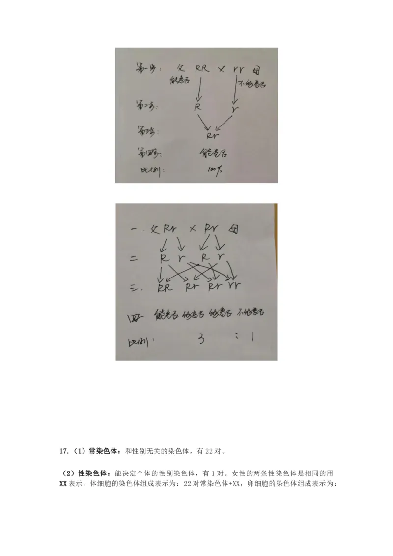 苏科版八年级生物下册知识点_24秋《初中各科知识点梳理》_初中生物《知识梳理》7-8年级上下册_苏科版初中生物7-8年级上下册知识点