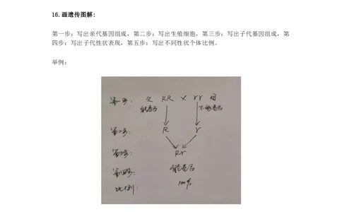 苏科版八年级生物下册知识点_24秋《初中各科知识点梳理》_初中生物《知识梳理》7-8年级上下册_苏科版初中生物7-8年级上下册知识点
