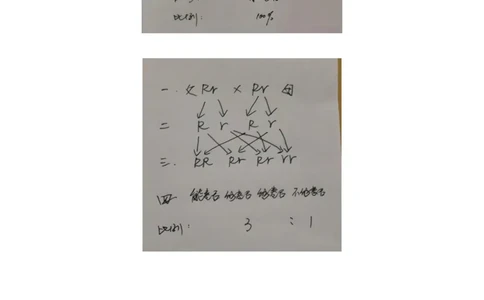 苏科版八年级生物下册知识点_24秋《初中各科知识点梳理》_初中生物《知识梳理》7-8年级上下册_苏科版初中生物7-8年级上下册知识点