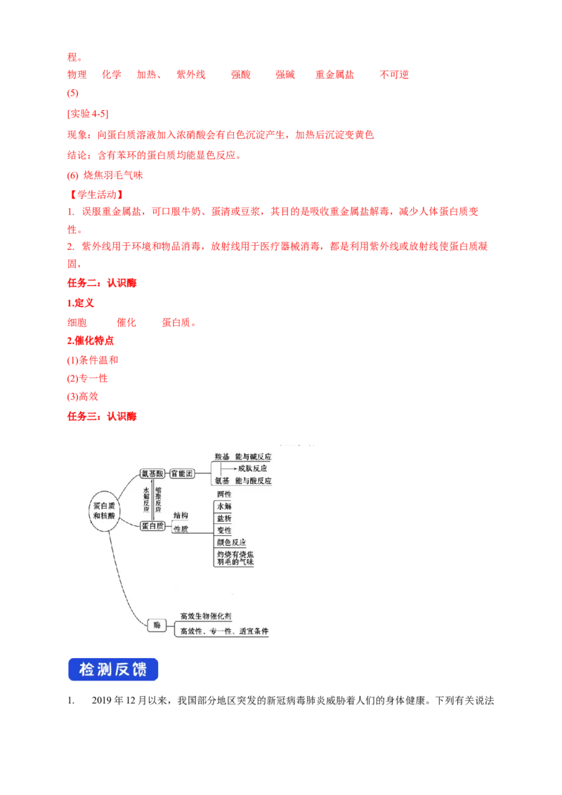 4.2.2蛋白质酶-学案-2020-2021学年下学期高二化学同步精品课堂(新教材人教版选择性必修3)（解析版）_高化_2025春-人教版高中化学_05新版高中化学选择性必修3_1.课件+教案+学案+习题_学案