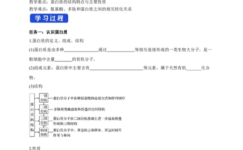 4.2.2蛋白质酶-学案-2020-2021学年下学期高二化学同步精品课堂(新教材人教版选择性必修3)（解析版）_高化_2025春-人教版高中化学_05新版高中化学选择性必修3_1.课件+教案+学案+习题_学案
