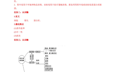 4.2.2蛋白质酶-学案-2020-2021学年下学期高二化学同步精品课堂(新教材人教版选择性必修3)（解析版）_高化_2025春-人教版高中化学_05新版高中化学选择性必修3_1.课件+教案+学案+习题_学案