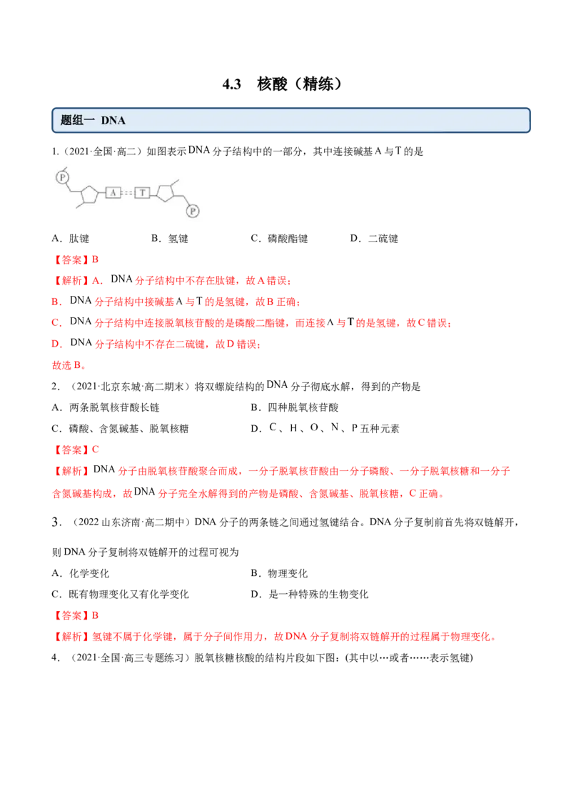 4.3核酸（精练）（人教版2019选择性必修3）（解析版）_高化_595801221724高中化学新人教版选择性必修一二三电子版教案PPT课件高中试卷_选择性必修3册（人教版）_专项练习