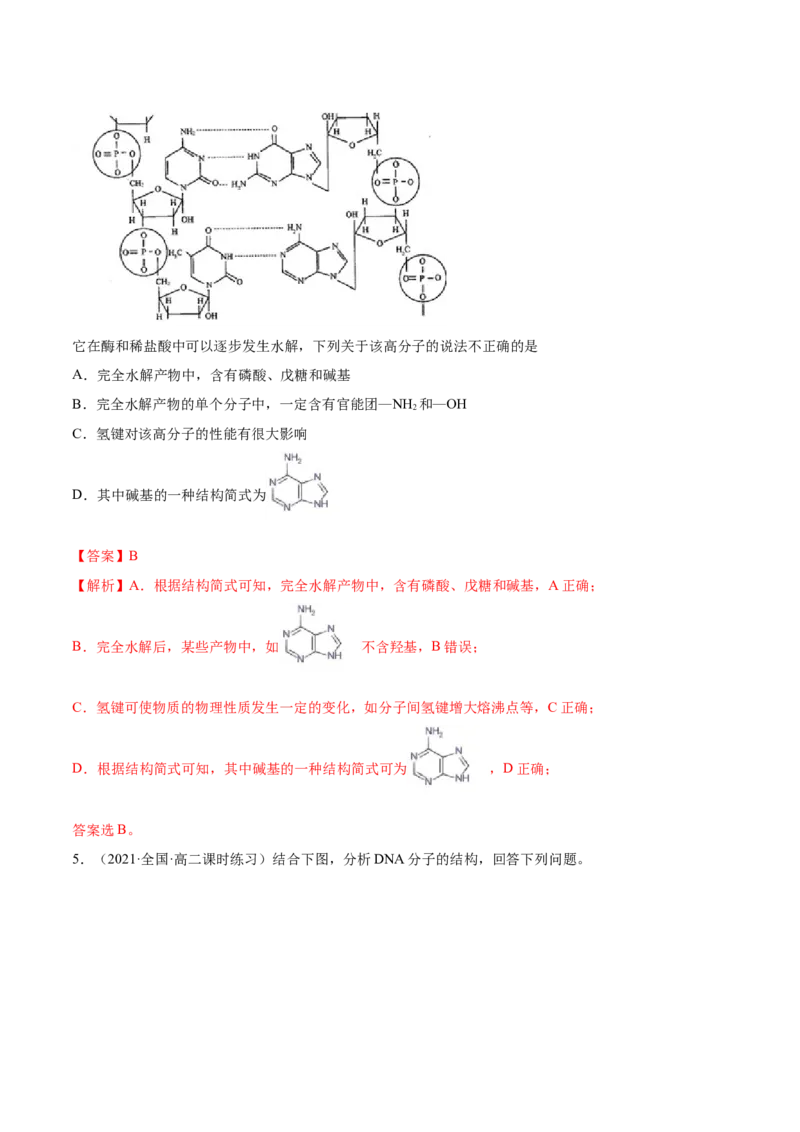 4.3核酸（精练）（人教版2019选择性必修3）（解析版）_高化_595801221724高中化学新人教版选择性必修一二三电子版教案PPT课件高中试卷_选择性必修3册（人教版）_专项练习