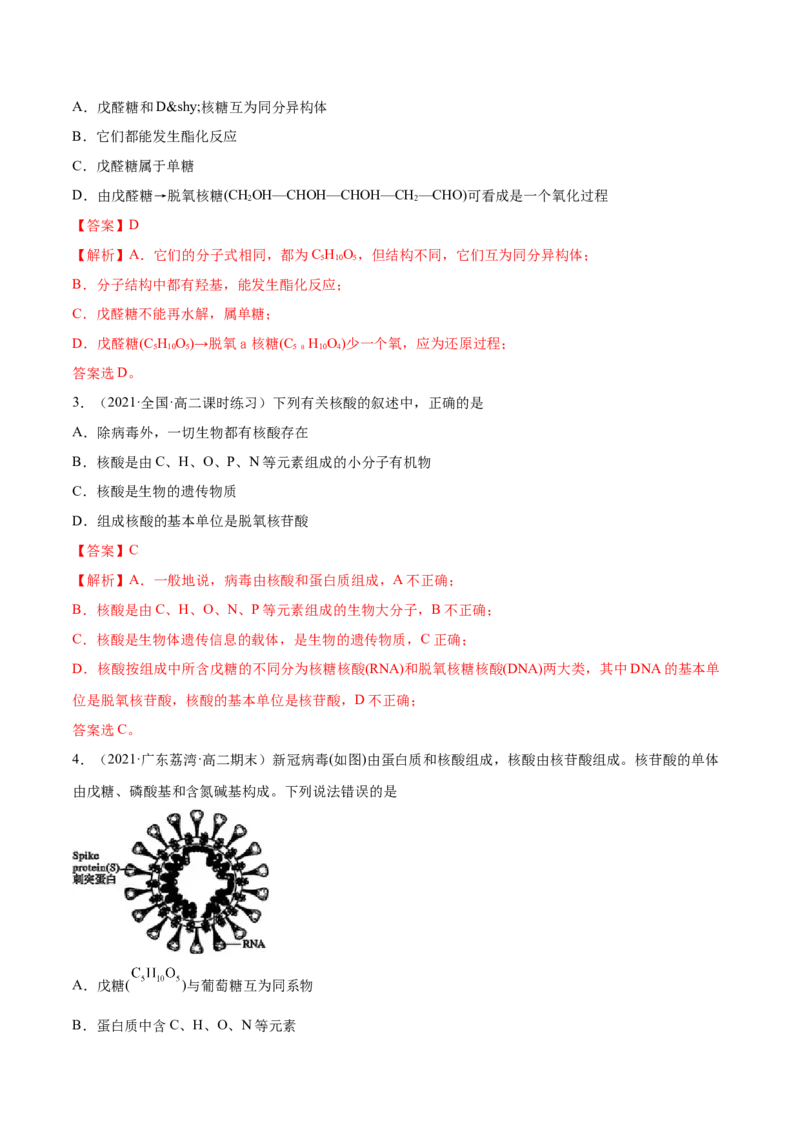 4.3核酸（精练）（人教版2019选择性必修3）（解析版）_高化_595801221724高中化学新人教版选择性必修一二三电子版教案PPT课件高中试卷_选择性必修3册（人教版）_专项练习