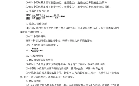2020_2021学年新教材高中化学第4章生物大分子第3节核酸学案新人教版选择性必修3_高化_2025春-人教版高中化学_05新版高中化学选择性必修3_4.课件+学案+试卷_学案
